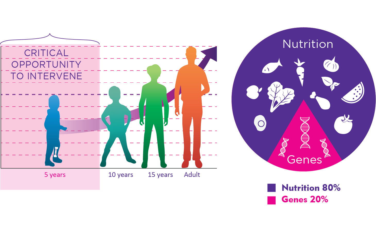 Can A Calorie Deficit Stunt Growth